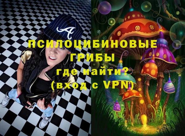 соль ск Бугульма