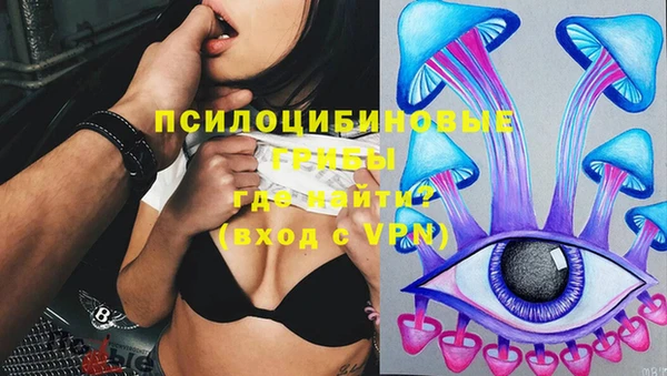 spice Бронницы