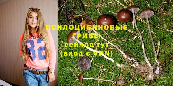 spice Бронницы