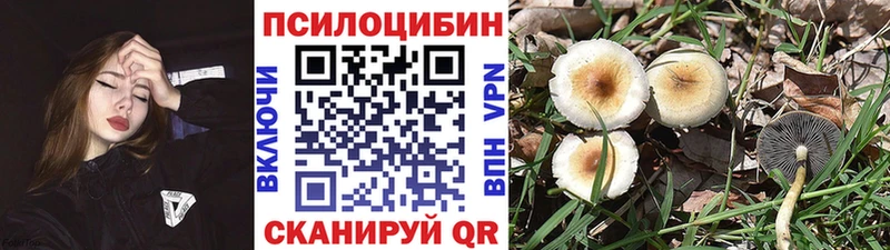 Псилоцибиновые грибы ЛСД  купить  сайты  Игра 